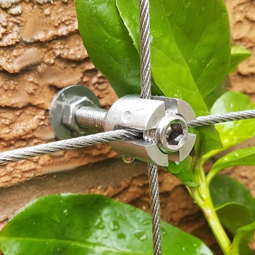 25 METERS STAINLESS STEEL WIRE TRELLIS KIT GREEN WALL CLIMBING